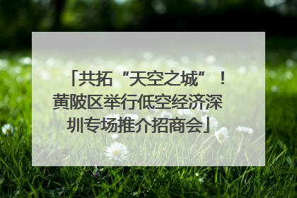 共拓“天空之城”！黄陂区举行低空经济深圳专场推介招商会